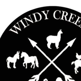 Bernedoodles from Windy Creek Doodles