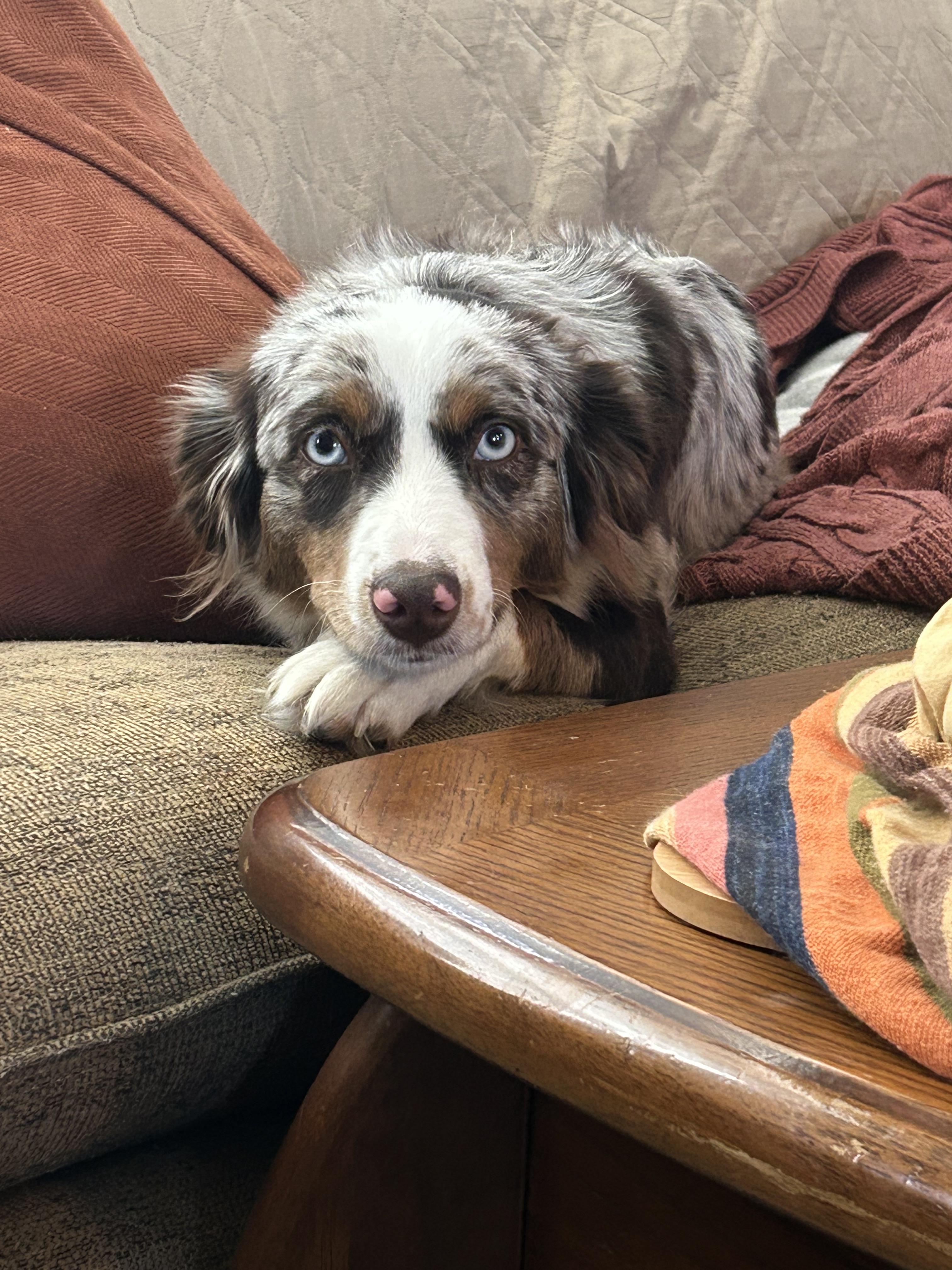 Annie