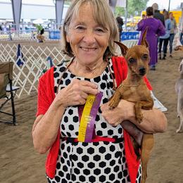 Selia - Miniature Pinscher