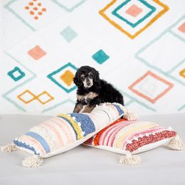 Poodle Puppies from Setting the Standard Poodles