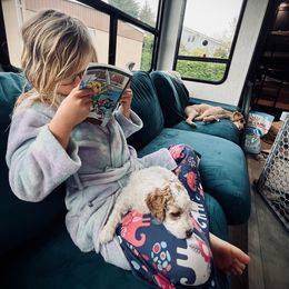 Poodle Puppies from Reuter Clan Poodles