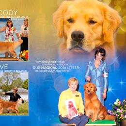 Golden Retriever Puppies from SUN-GOLDEN KENNELS