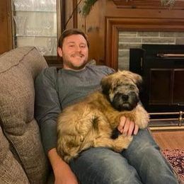 Soft Coated Wheaten Terrier Puppies from Wagging Wheatens