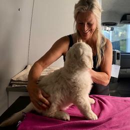 Golden Retriever Puppies from West Coast Cream Goldens