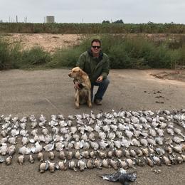 Belgian Malinois from Childress Creek Kennels
