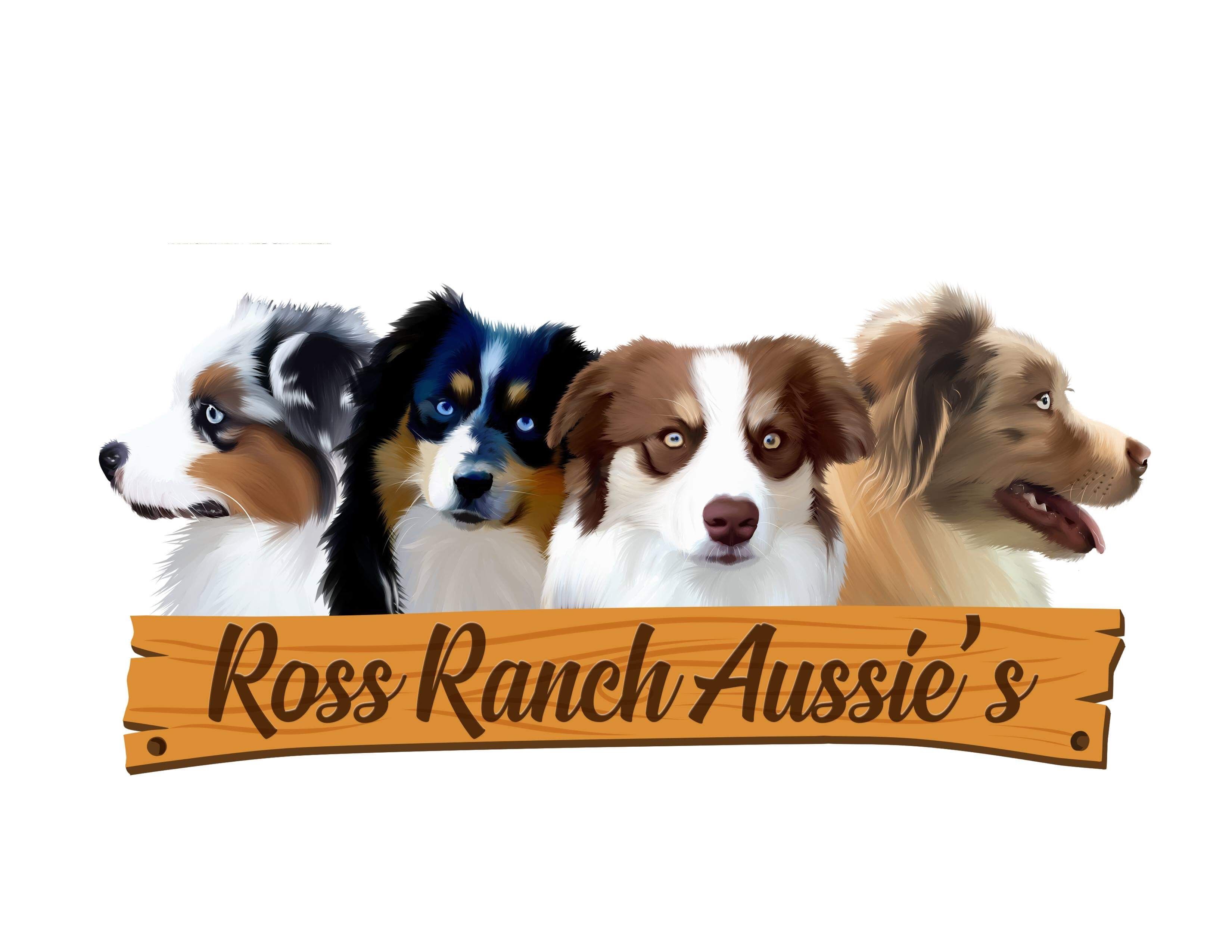 Ross ranch mini store aussies