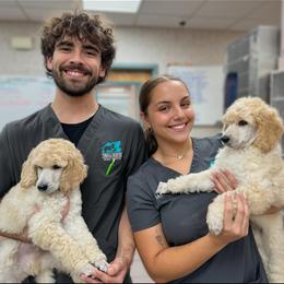 Poodle Puppies from GYCAM STANDARD POODLE