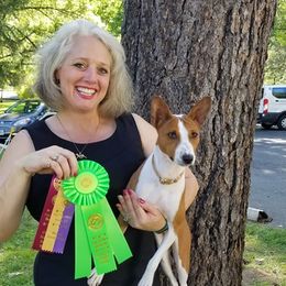 Basenji and Italian Greyhound All Grown Up from Khani's Basenjis and Italian Greyhounds