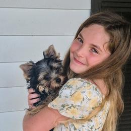Gold b - Blue and gold male Yorkshire Terrier puppy in Cedartown, Georgia from Heartesha