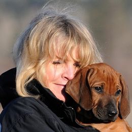 Rhodesian Ridgeback Puppies from Ukukhanya Ridgebacks