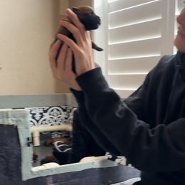 "ENS" Belgian Malinois Puppies from Care 2 Protect