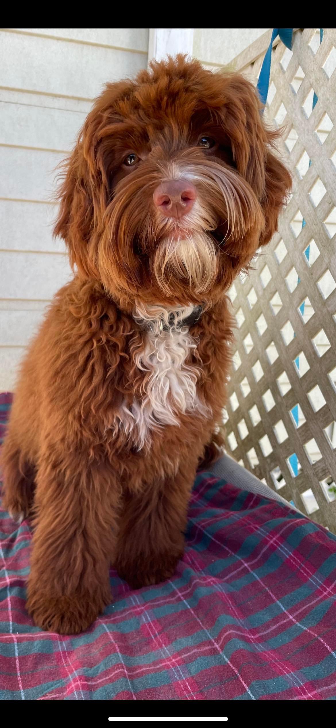 Rusty