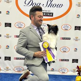 Chinese Cresteds and Miniature American Shepherds from Carousel Kennel