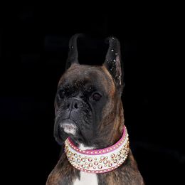 Olive - Boxer
