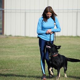 Faith - German Shepherd