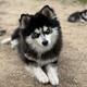 Meeka