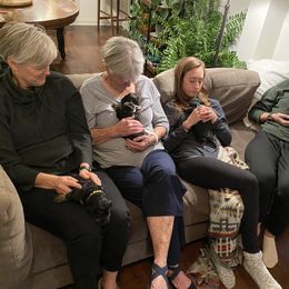 Bernedoodle Puppies from Better Day Bernedoodles