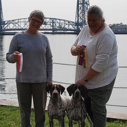 German Shorthaired Pointers from Proud Pine Farm