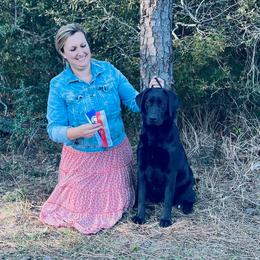 Labrador Retriever Puppies from BAK Forty Ranch