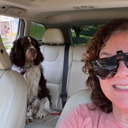 English Springer Spaniel Puppies from Burton English Springer Spaniels