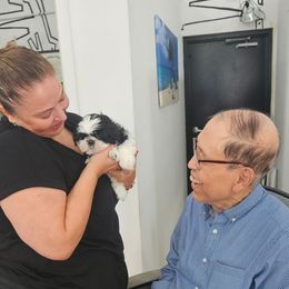 Big Dot or Girl 1 - Black and white female Shih Tzu puppy in Lostant, Illinois from Bella's Babies
