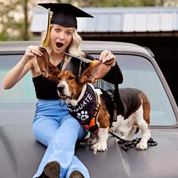Waylon - Basset Hound