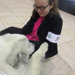 Cocker Spaniel and Great Pyrenees All Grown Up from Maple Way