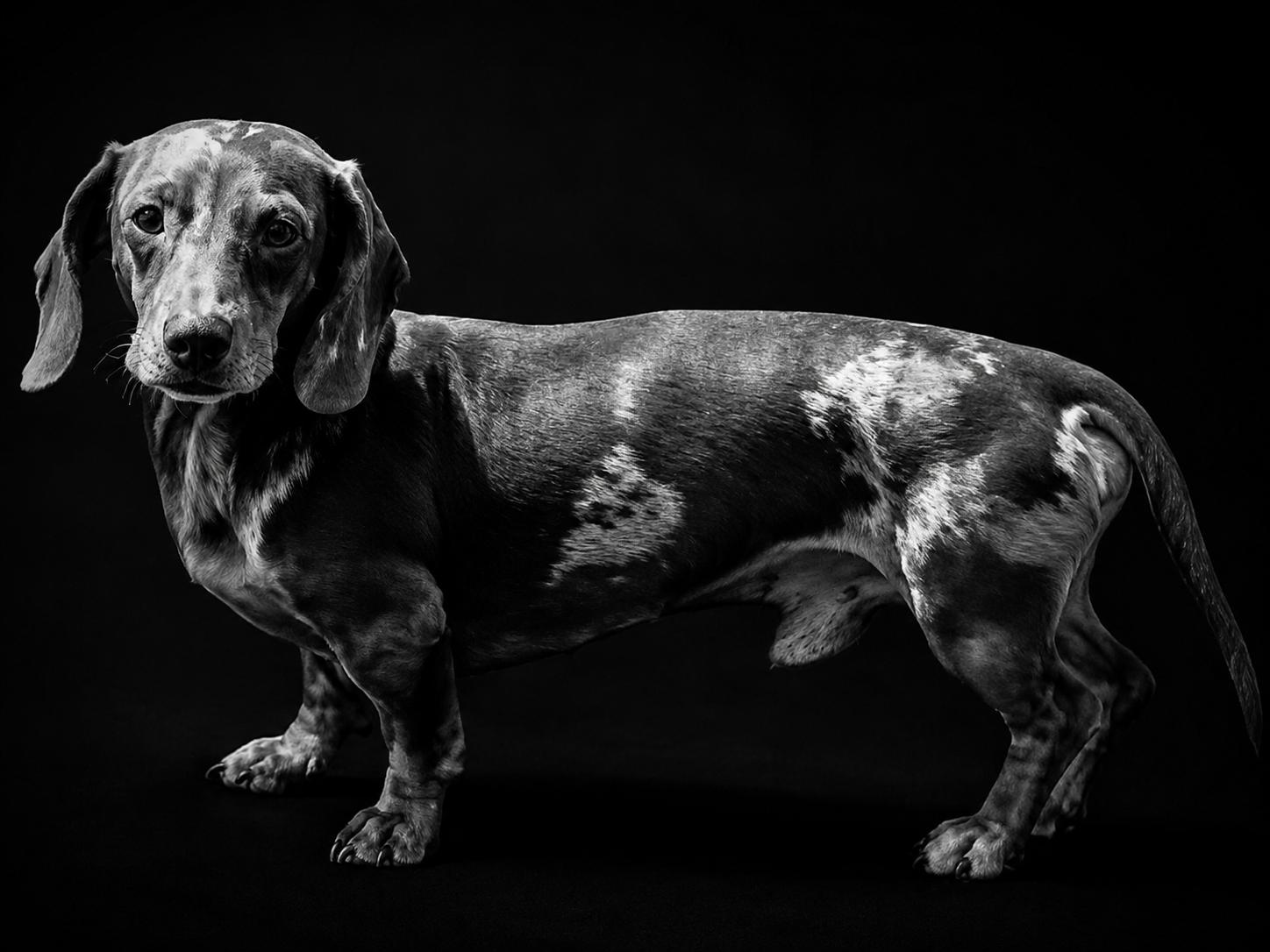 Murphy