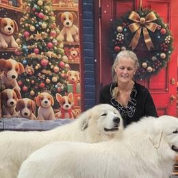 Great Pyrenees from Yelah Pyrenees