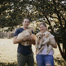 Golden Retriever Puppies from Rosemary Goldens