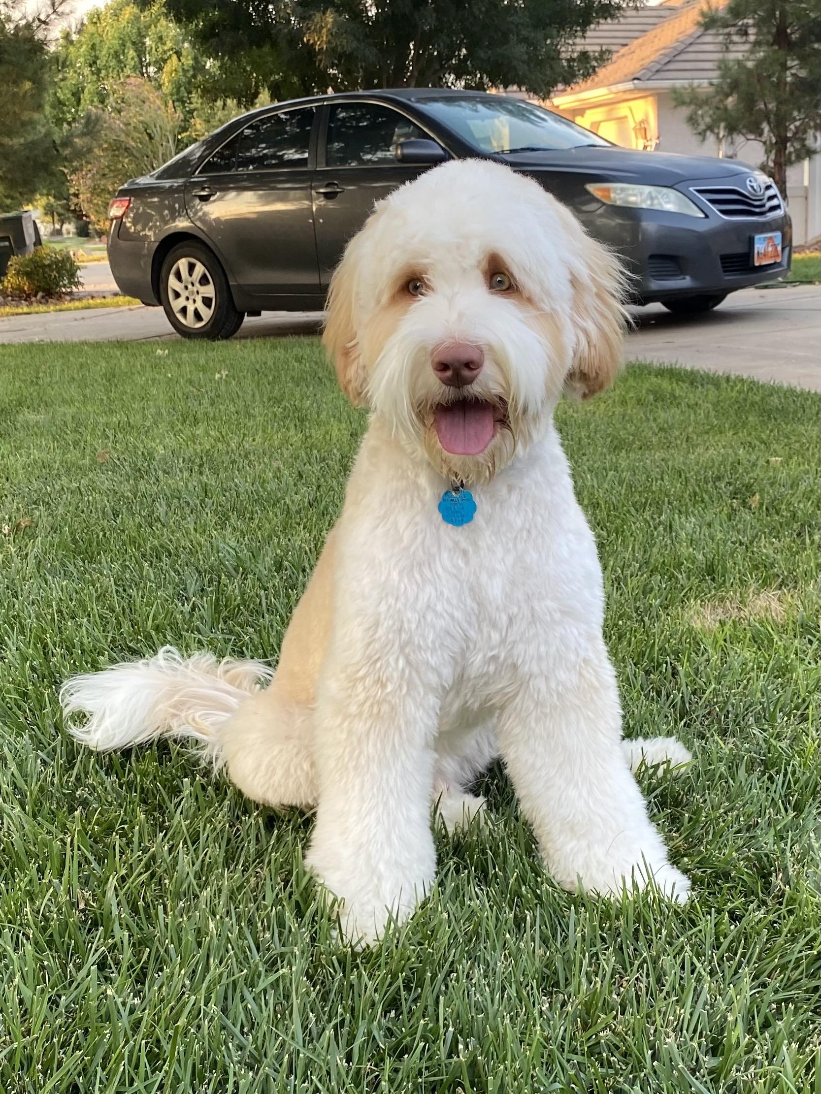 Jax