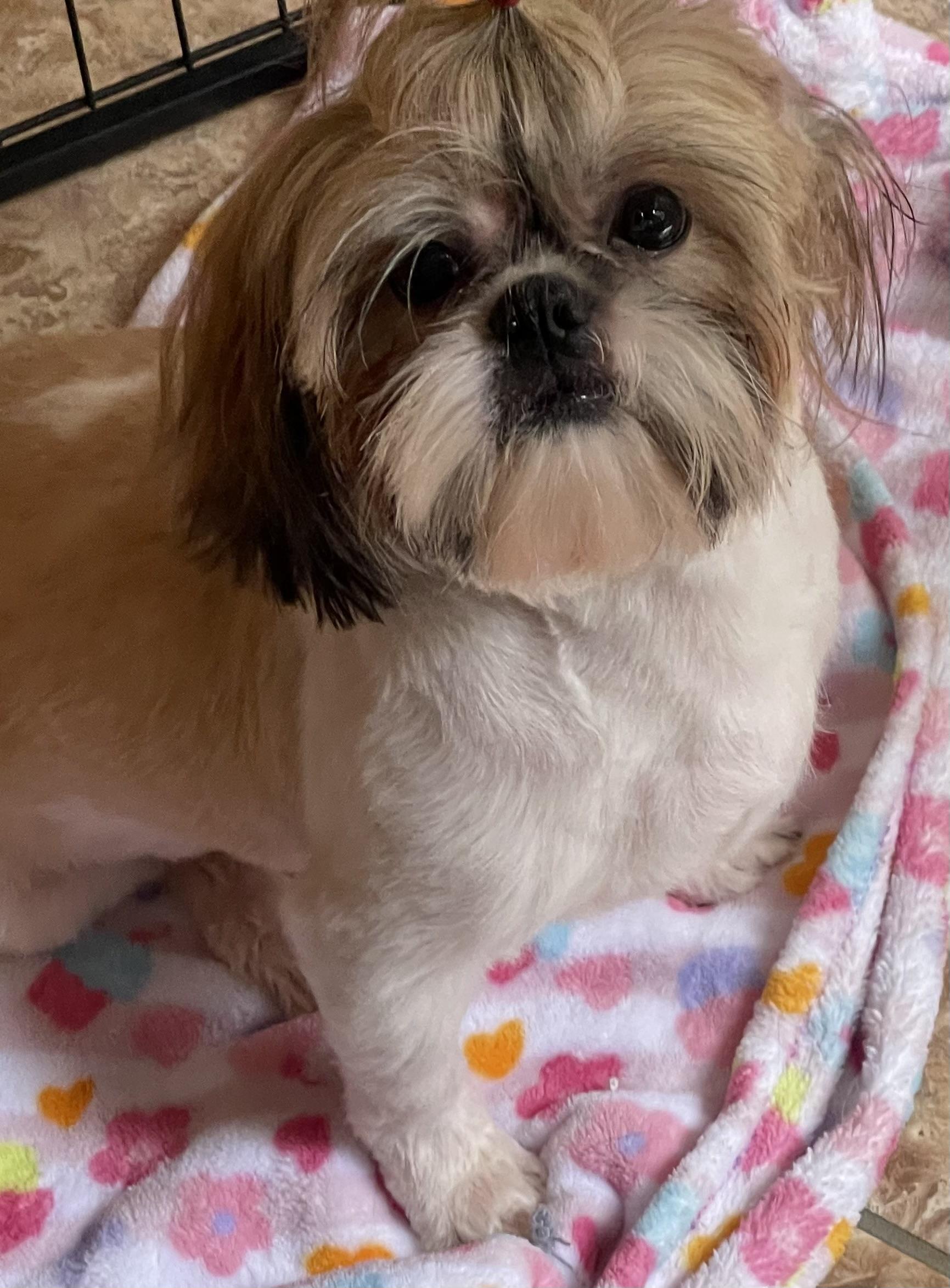 Sophie