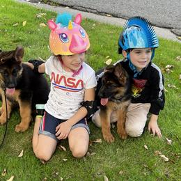 German Shepherd Puppies from Alta-Tollhaus German Shepherds