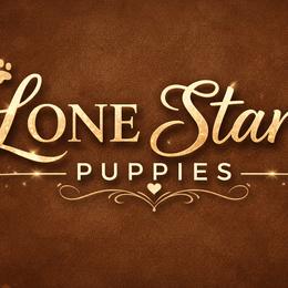 Yorkshire Terriers from Lone Star Puppies