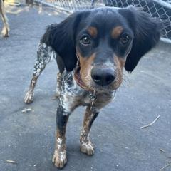 Sky - French Brittany