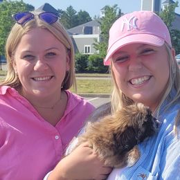 Shih Tzu Puppies from N.F.S.T Imperial ShihTzu Puppies.