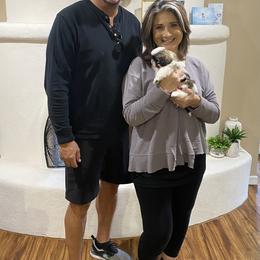 Shih Tzu Puppies from Willow Lane Shih Tzus