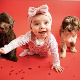 Goldendoodle Puppies from KandE Doodles