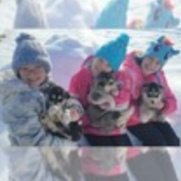 Siberian Huskies from Kates Methow Siberians
