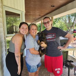 German Shepherd Puppies from Von Hoene Heritage Shepherds