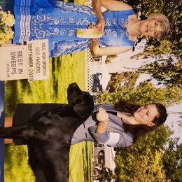 Labrador Retrievers from Evermor Labradors