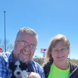 Aussiedoodle, Cavapoo, and Poodle Puppies from B&M Cottonwood Canines