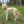 Unnamed