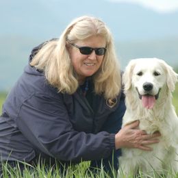 Golden Retrievers from Kernow Goldens