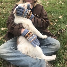 Border Collie Puppies from By Design Farm