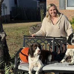 English Springer Spaniels from House Tiner Springers