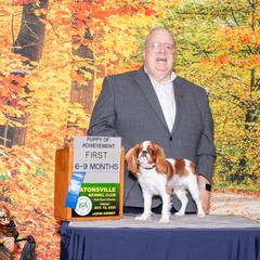 Cri-Kee - English Toy Spaniel