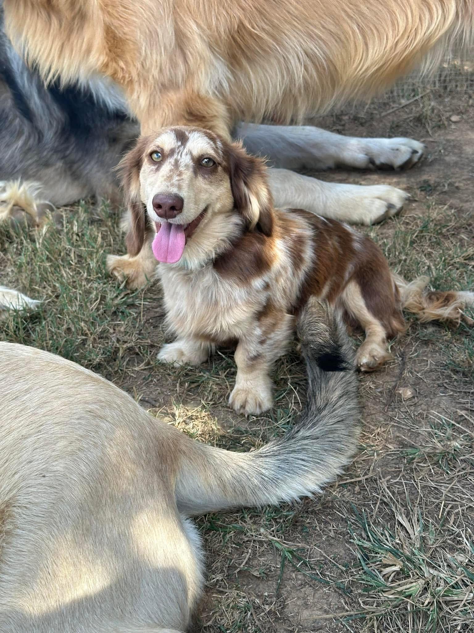 Charlie