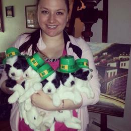 Tibetan Terrier Puppies from Zara Tibetan Terriers