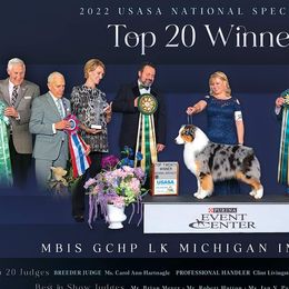 Australian Shepherds from Lk Michigan BIS Champion Aussies